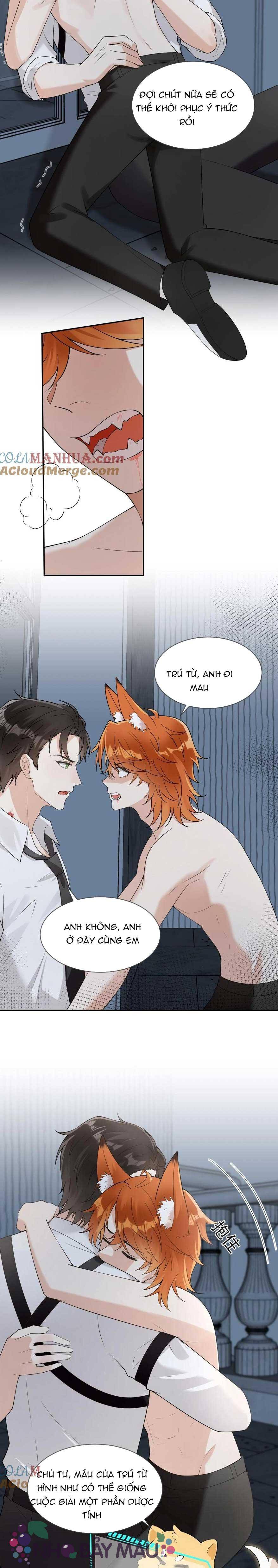 Cáo Nhỏ Hoang Tưởng Và Ký Chủ Lạnh Lùng - Chap 88