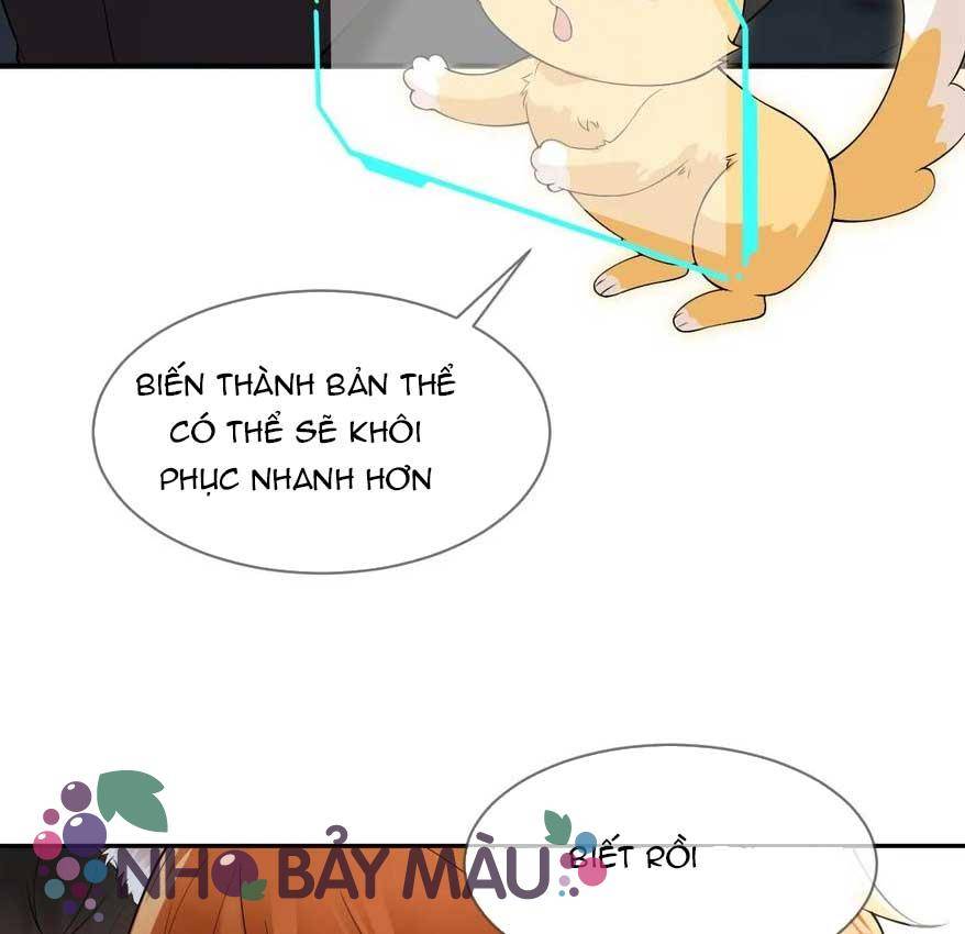 Cáo Nhỏ Hoang Tưởng Và Ký Chủ Lạnh Lùng - Chap 88