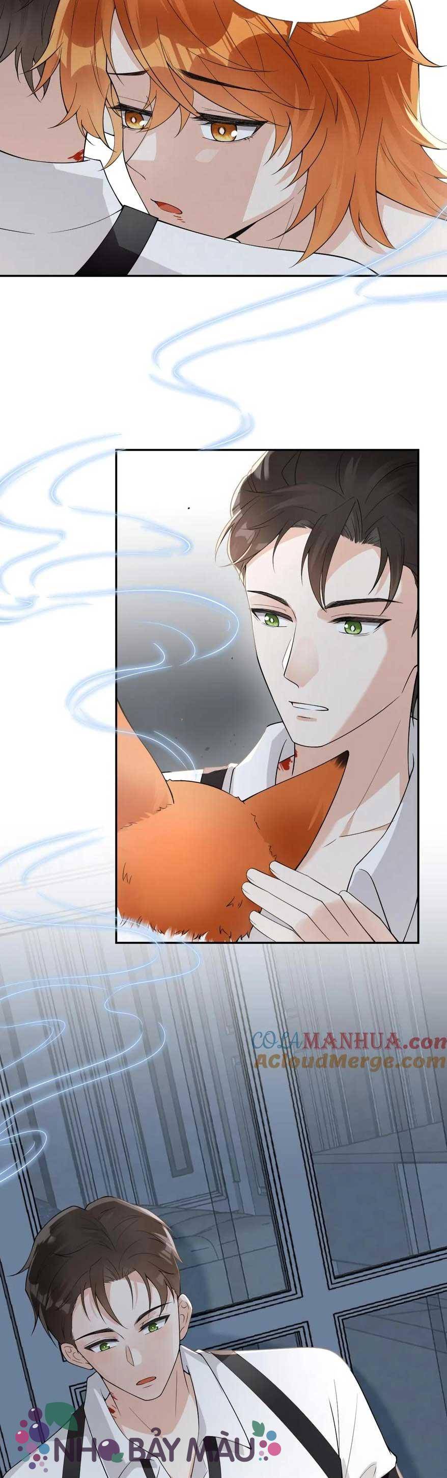 Cáo Nhỏ Hoang Tưởng Và Ký Chủ Lạnh Lùng - Chap 88