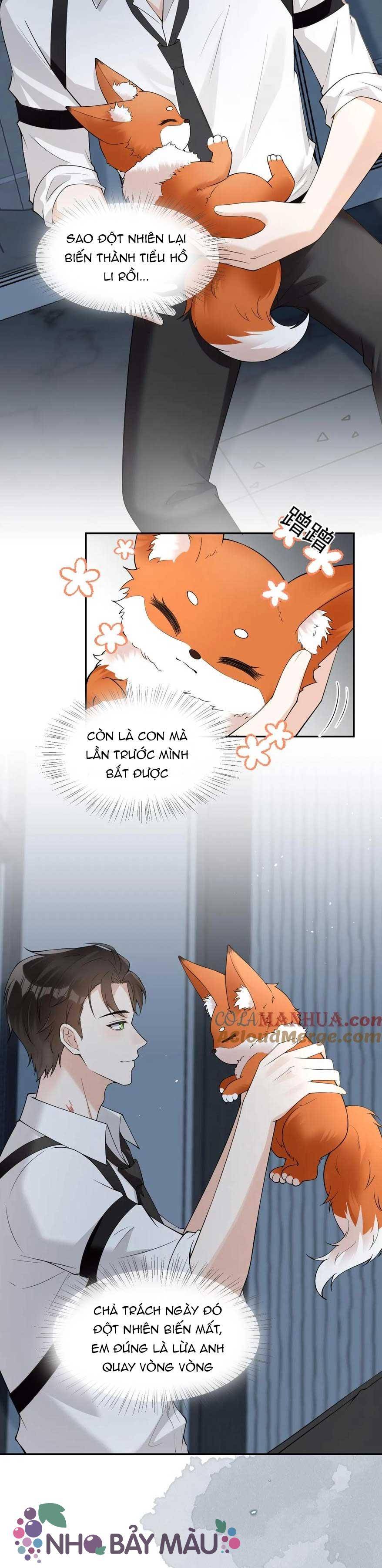 Cáo Nhỏ Hoang Tưởng Và Ký Chủ Lạnh Lùng - Chap 88