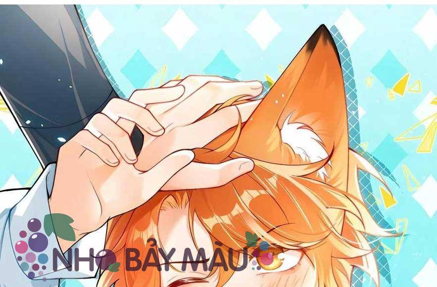 Cáo Nhỏ Hoang Tưởng Và Ký Chủ Lạnh Lùng - Chap 92