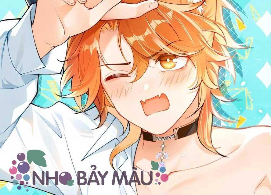 Cáo Nhỏ Hoang Tưởng Và Ký Chủ Lạnh Lùng - Chap 93