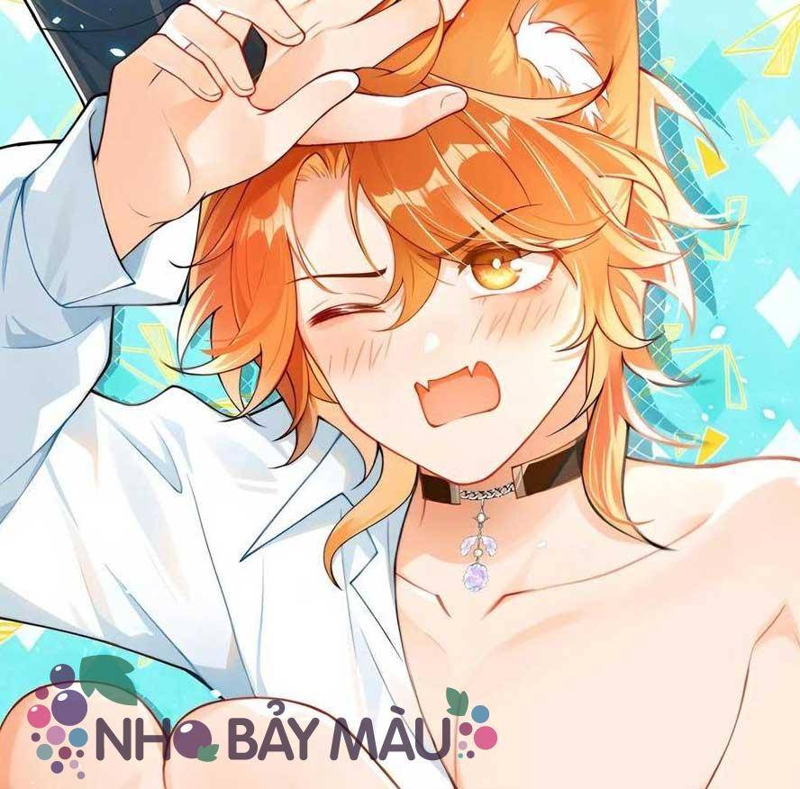 Cáo Nhỏ Hoang Tưởng Và Ký Chủ Lạnh Lùng - Chap 96