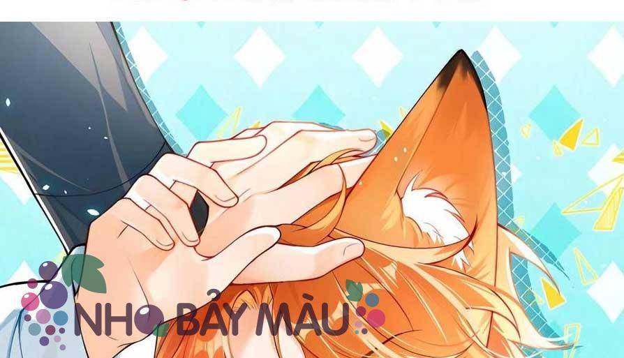 Cáo Nhỏ Hoang Tưởng Và Ký Chủ Lạnh Lùng - Chap 98