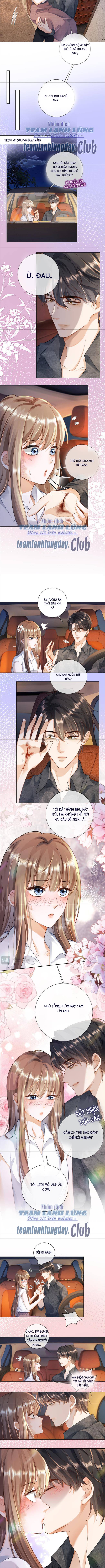 Ceo Tỷ Phú Chỉ Yêu Người Vợ Thế Thân Của Mình - Chap 59