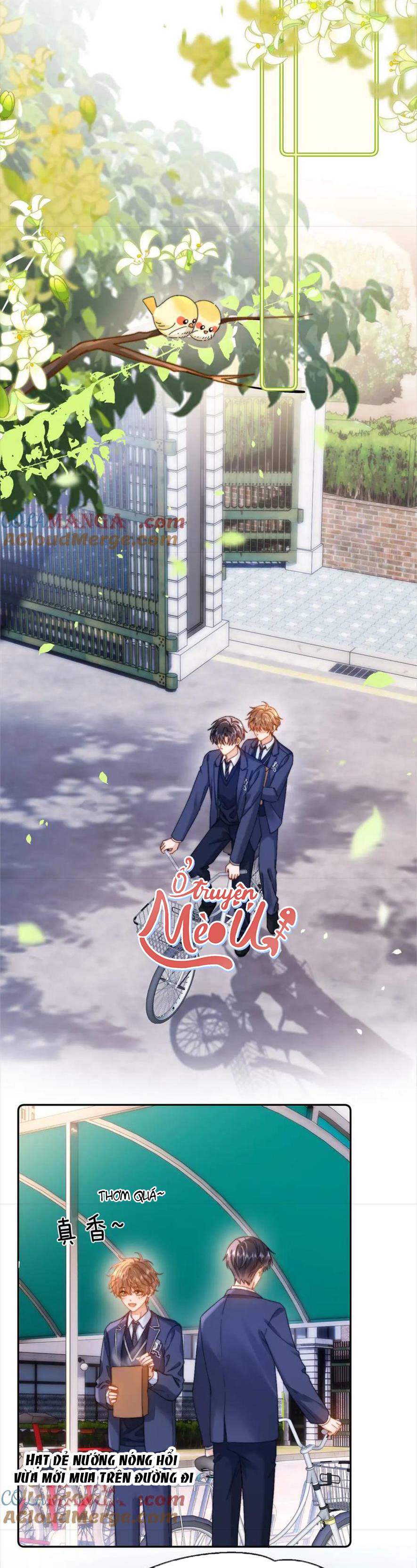 Chất Dị Ứng Đáng Yêu - Chap 40