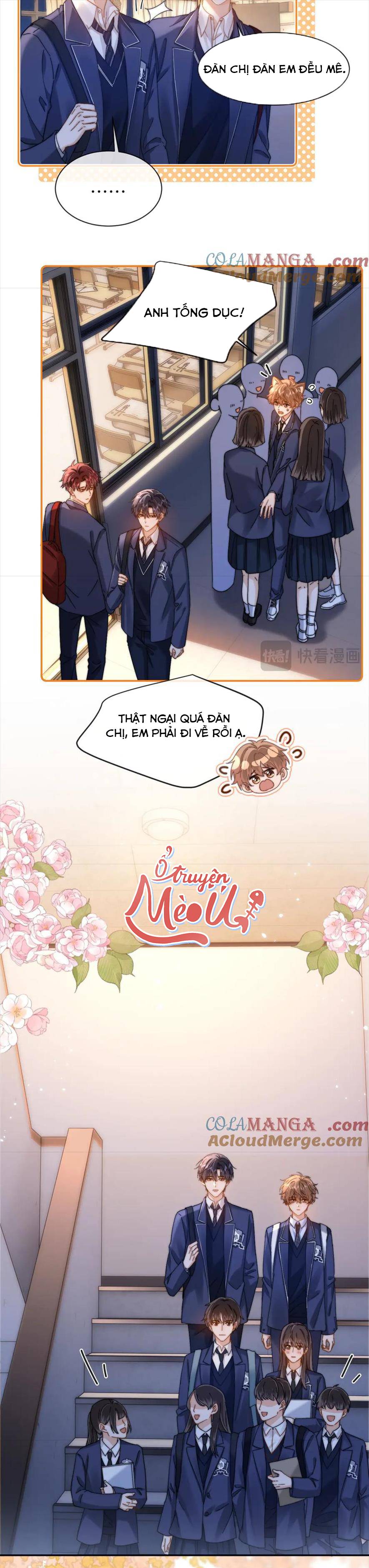 Chất Dị Ứng Đáng Yêu - Chap 41