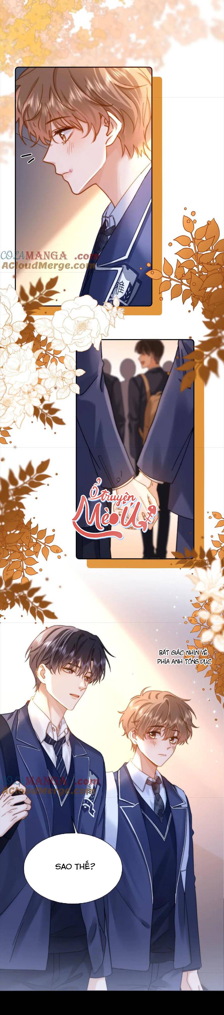 Chất Dị Ứng Đáng Yêu - Chap 41