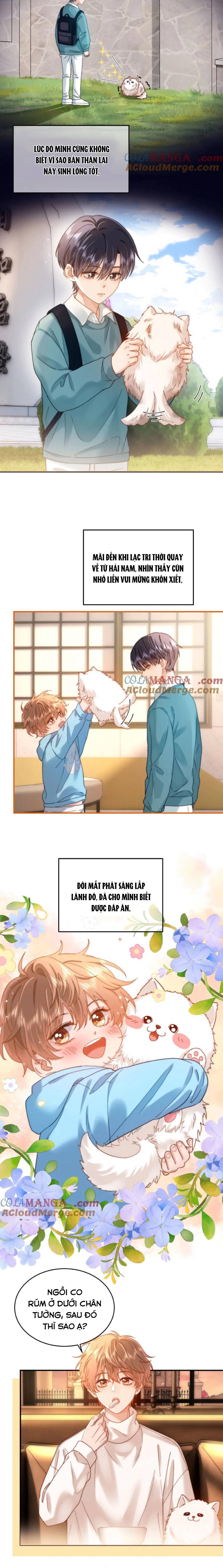 Chất Dị Ứng Đáng Yêu - Chap 52