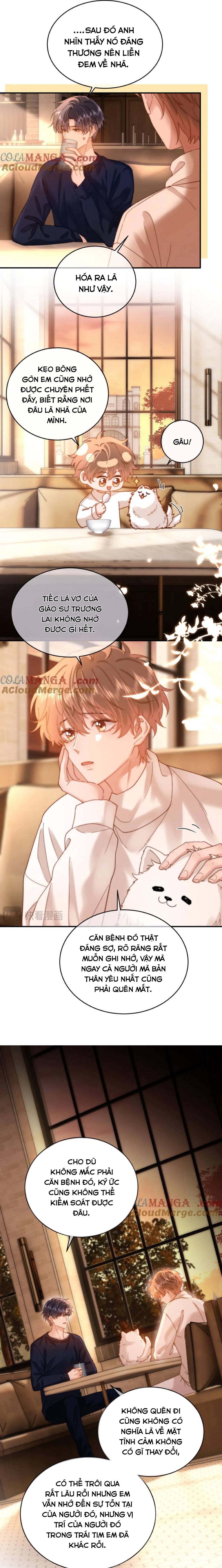 Chất Dị Ứng Đáng Yêu - Chap 52