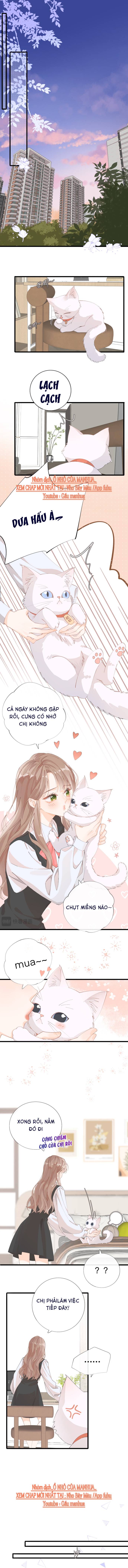 Chị Gái Lại Thất Bại Rồi - Chap 2