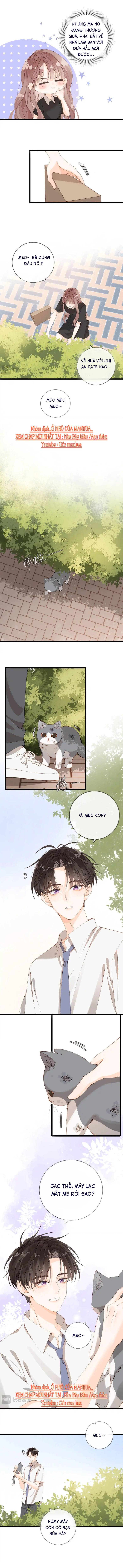 Chị Gái Lại Thất Bại Rồi - Chap 8