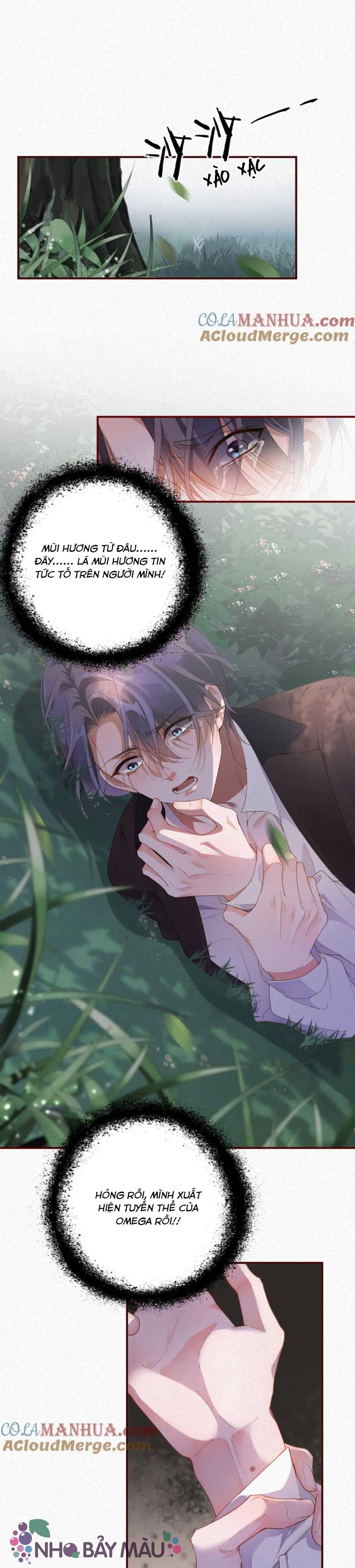 Chồng Cũ Lại Muốn Tái Hôn - Chap 11