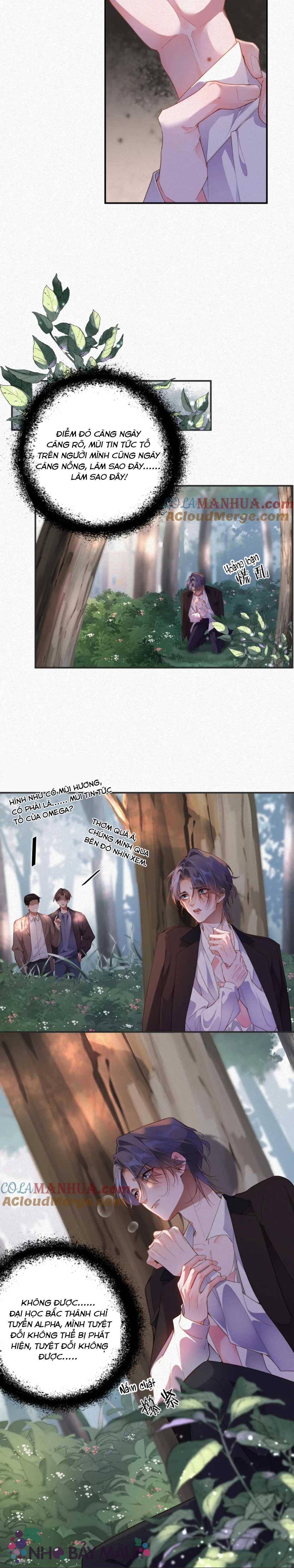 Chồng Cũ Lại Muốn Tái Hôn - Chap 12