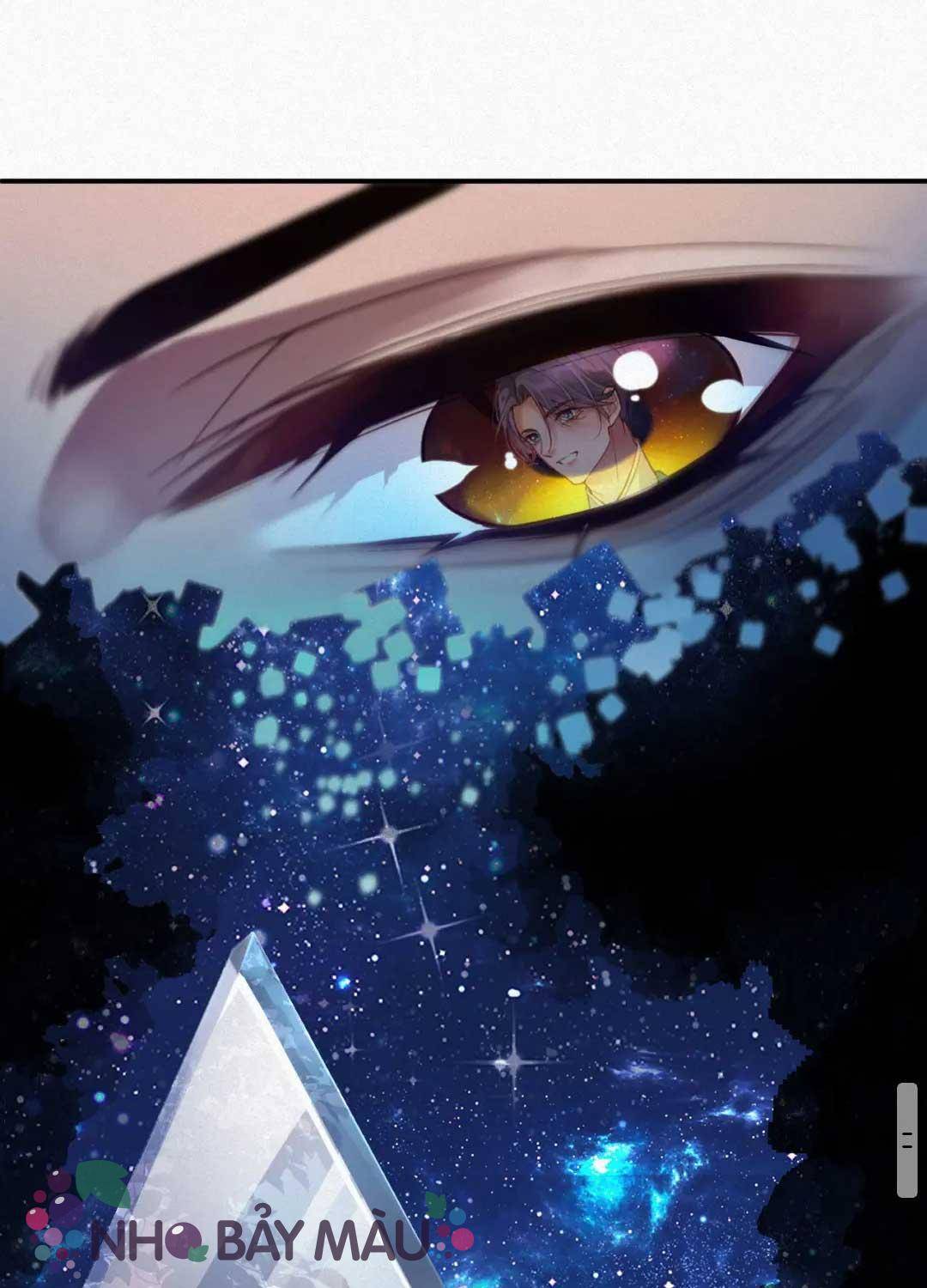 Chồng Cũ Lại Muốn Tái Hôn - Chap 2