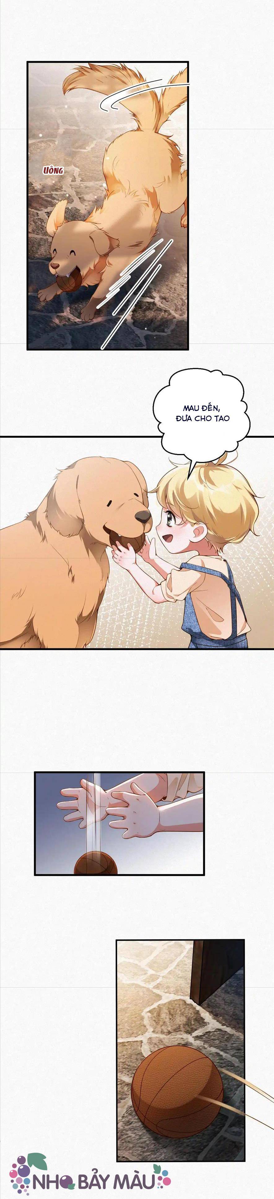 Chồng Cũ Lại Muốn Tái Hôn - Chap 29