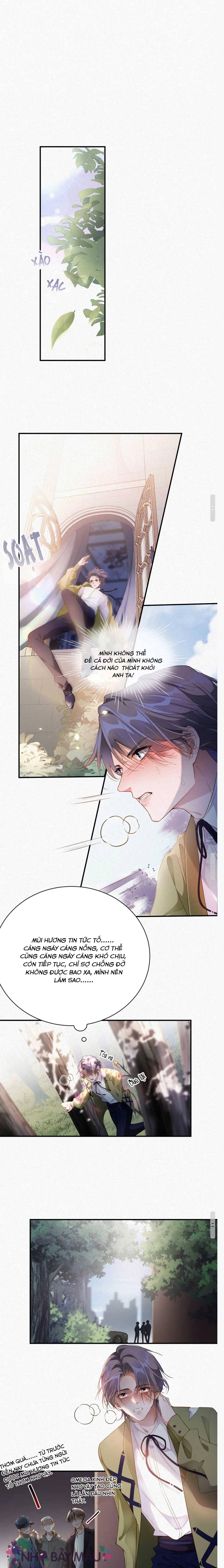 Chồng Cũ Lại Muốn Tái Hôn - Chap 4