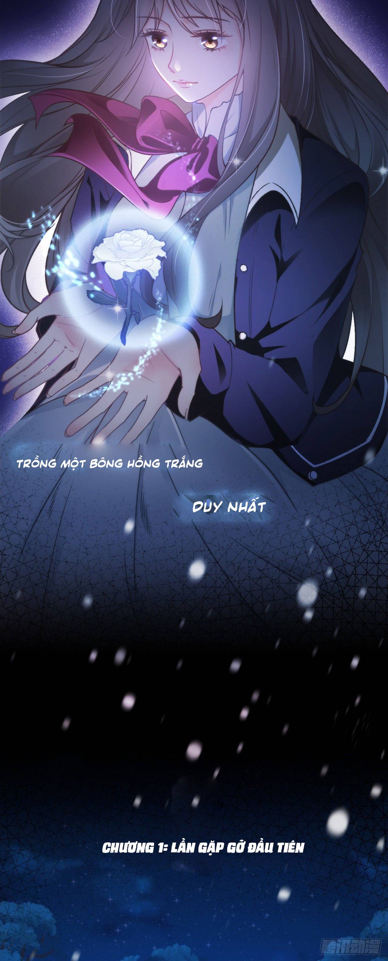 Cô Ấy Và Bông Hồng Trắng - Chap 1