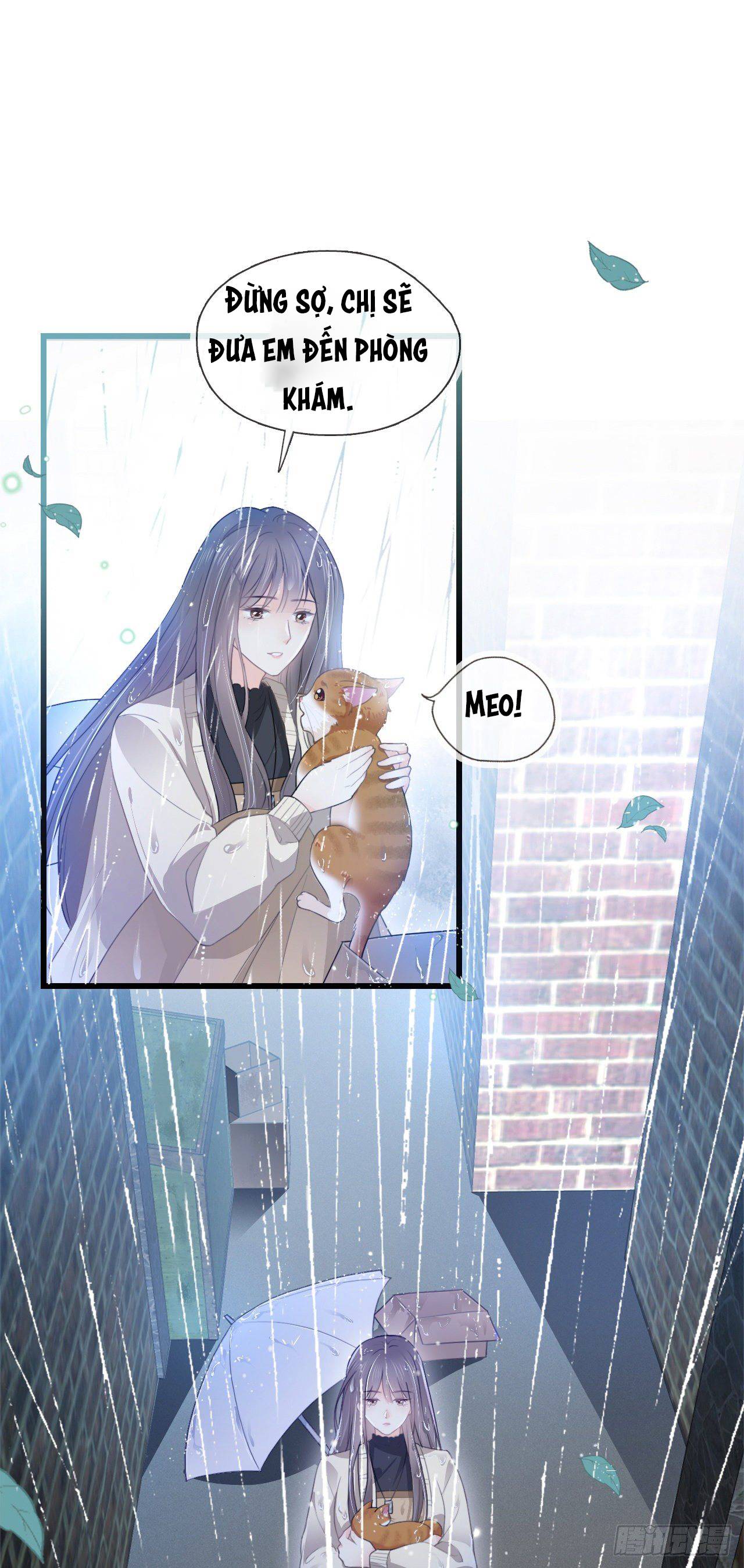 Cô Ấy Và Bông Hồng Trắng - Chap 8