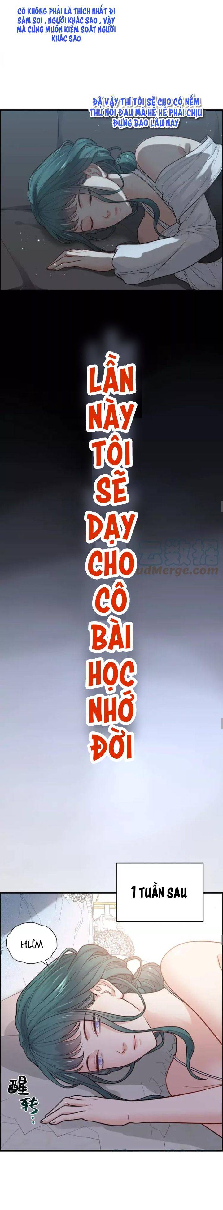 Cô Vợ Hợp Đồng Bỏ Trốn Của Tổng Giám Đốc - Chap 384