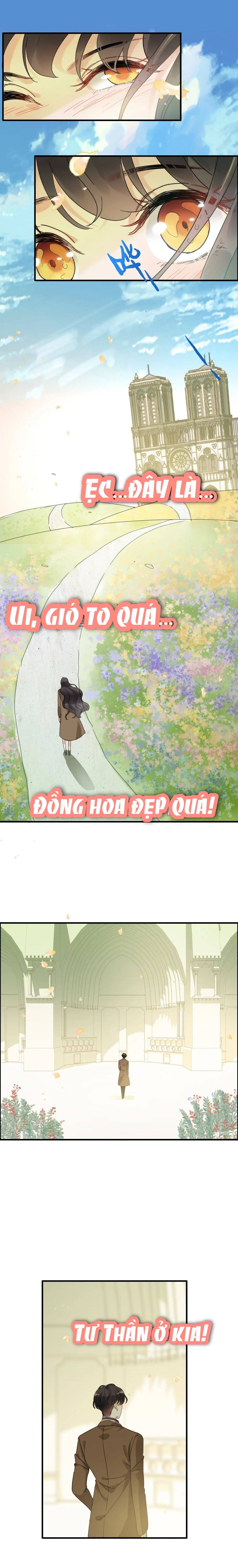 Cô Vợ Hợp Đồng Bỏ Trốn Của Tổng Giám Đốc - Chap 396