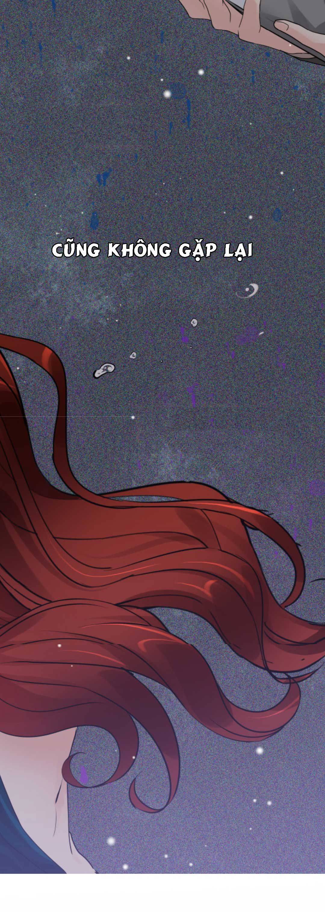 Cô Vợ Hợp Đồng Bỏ Trốn Của Tổng Giám Đốc - Chap 428