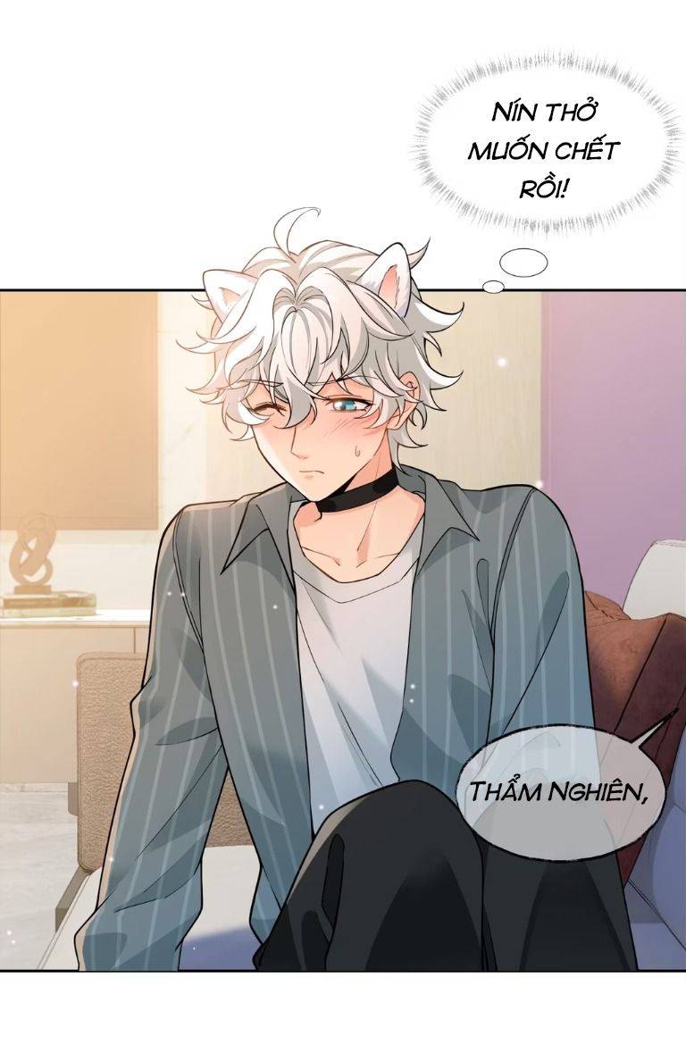 Crush Của Tôi Là Mèo - Chap 1