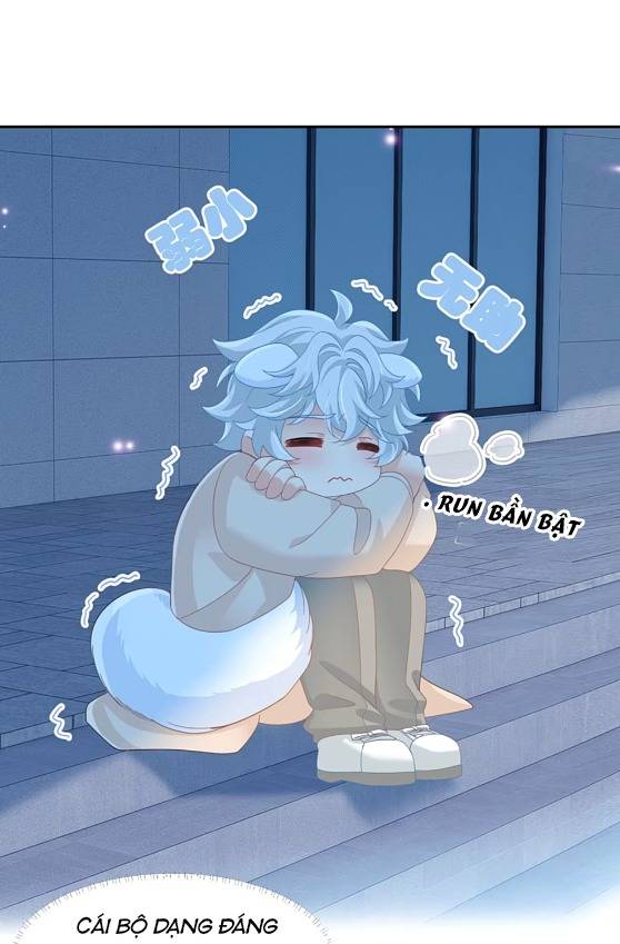 Crush Của Tôi Là Mèo - Chap 2