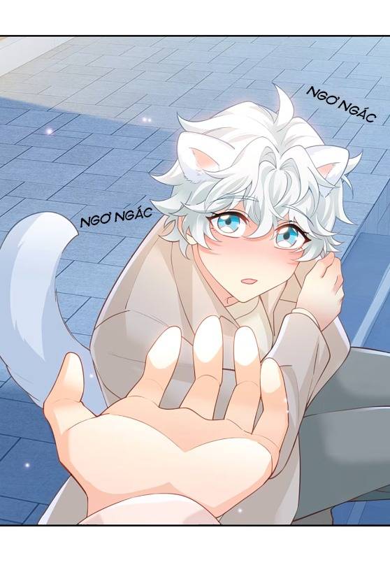 Crush Của Tôi Là Mèo - Chap 2