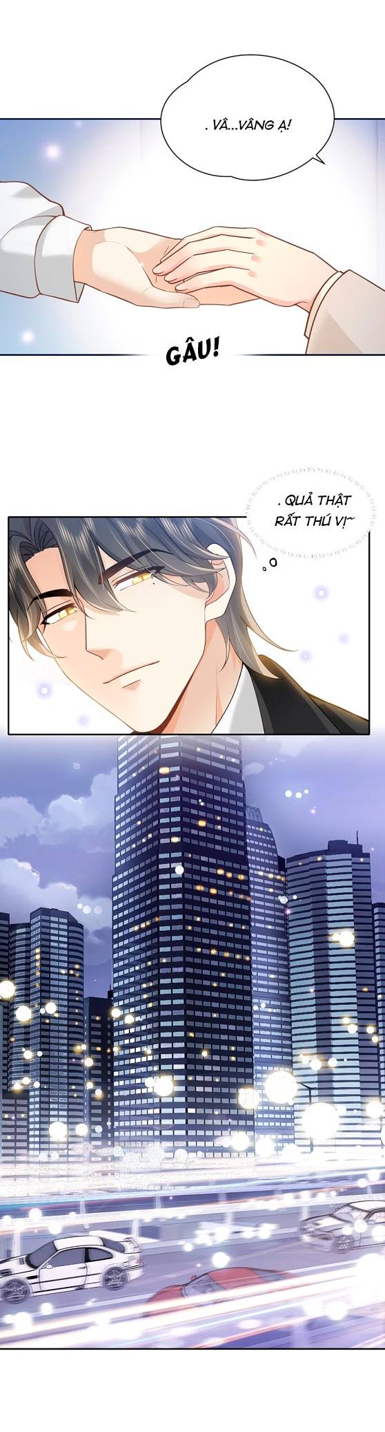 Crush Của Tôi Là Mèo - Chap 2