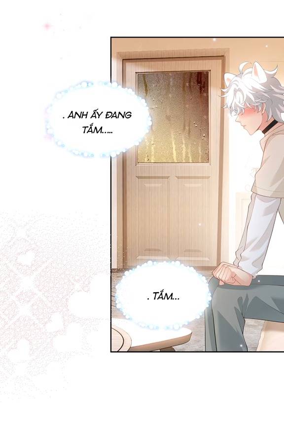 Crush Của Tôi Là Mèo - Chap 2