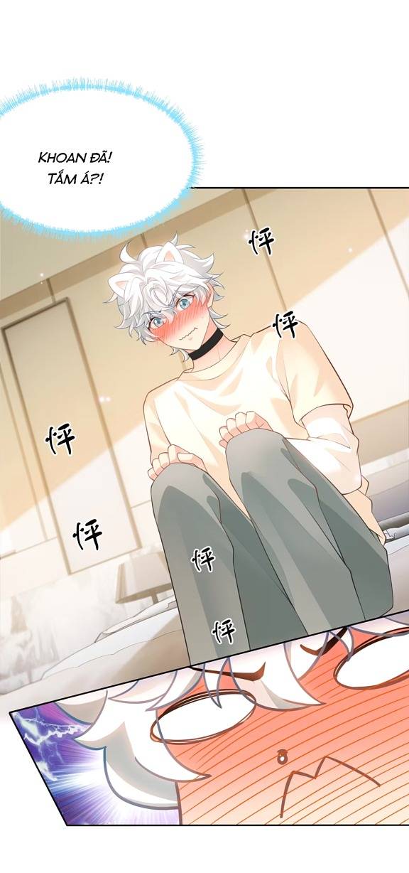 Crush Của Tôi Là Mèo - Chap 2