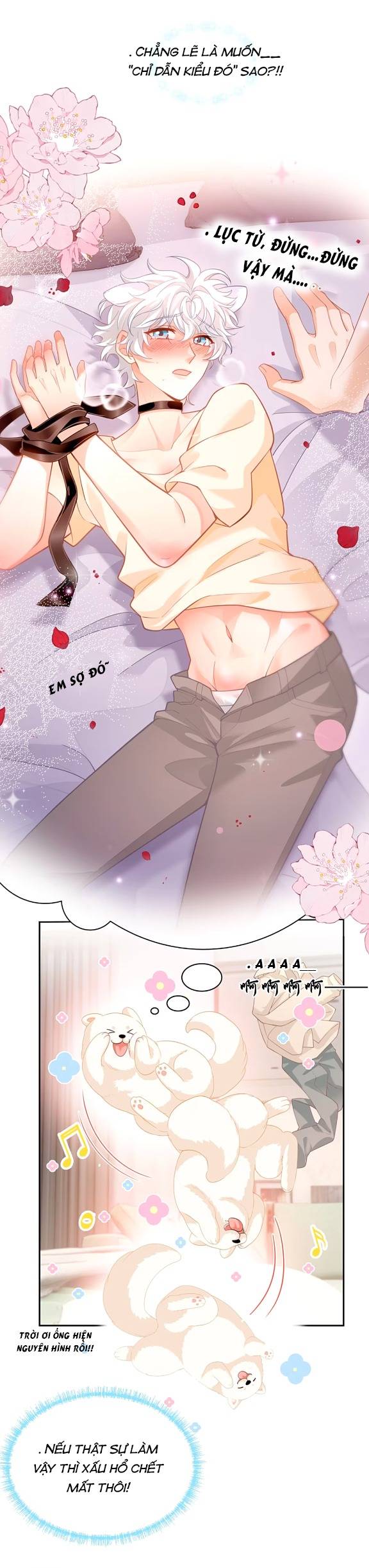 Crush Của Tôi Là Mèo - Chap 2