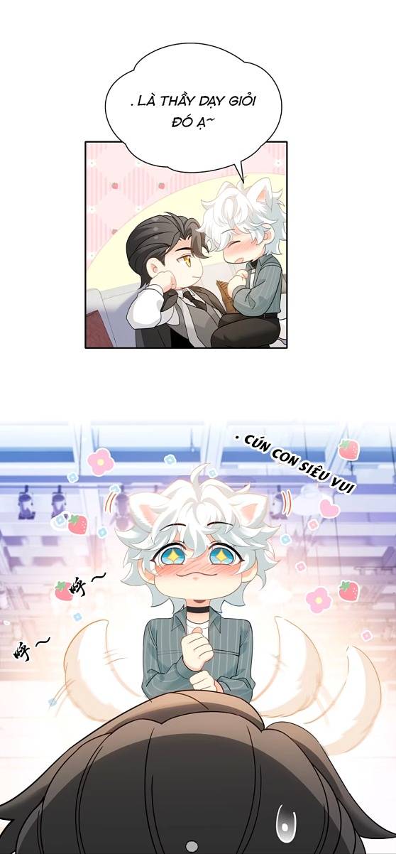 Crush Của Tôi Là Mèo - Chap 2