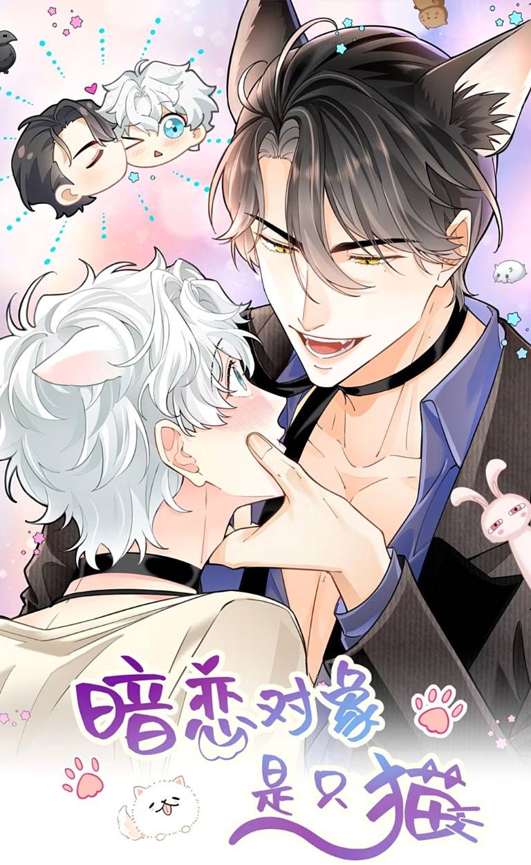 Crush Của Tôi Là Mèo - Chap 4