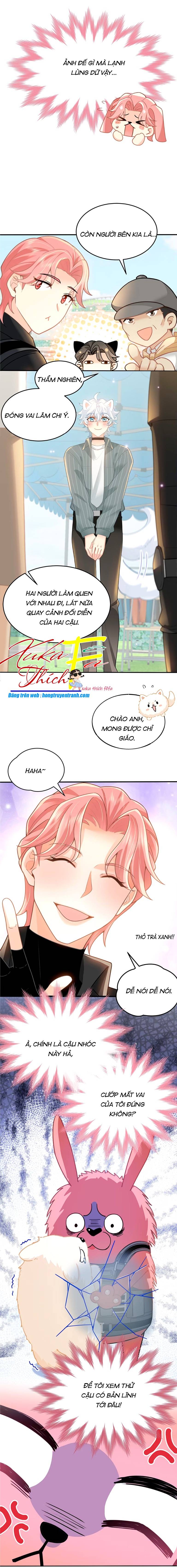 Crush Của Tôi Là Mèo - Chap 4