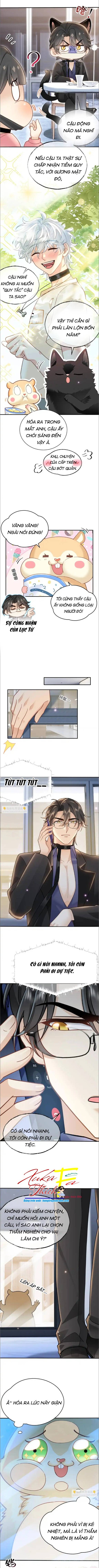 Crush Của Tôi Là Mèo - Chap 8