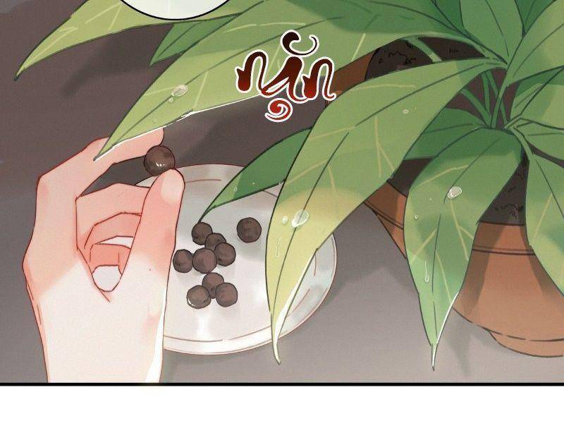 Đề Đốc Tự Ta Tu Dưỡng - Chap 16