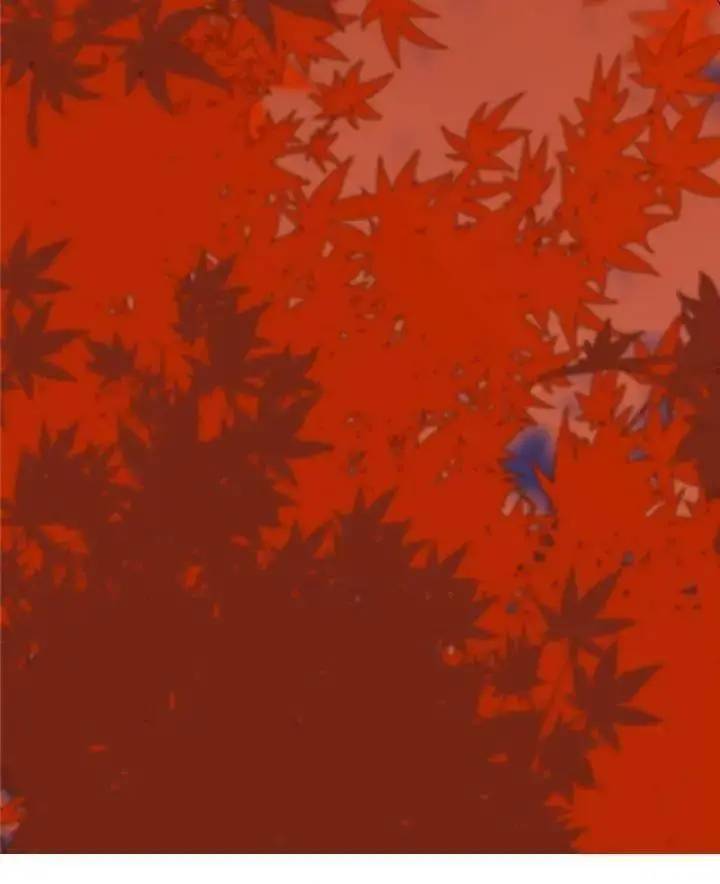 Độc Bộ Thiên Hạ Đặc Công Thần Y Tiểu Thú Phi - Chap 131