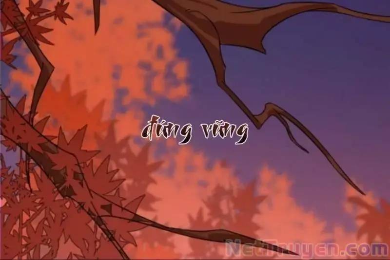 Độc Bộ Thiên Hạ Đặc Công Thần Y Tiểu Thú Phi - Chap 132