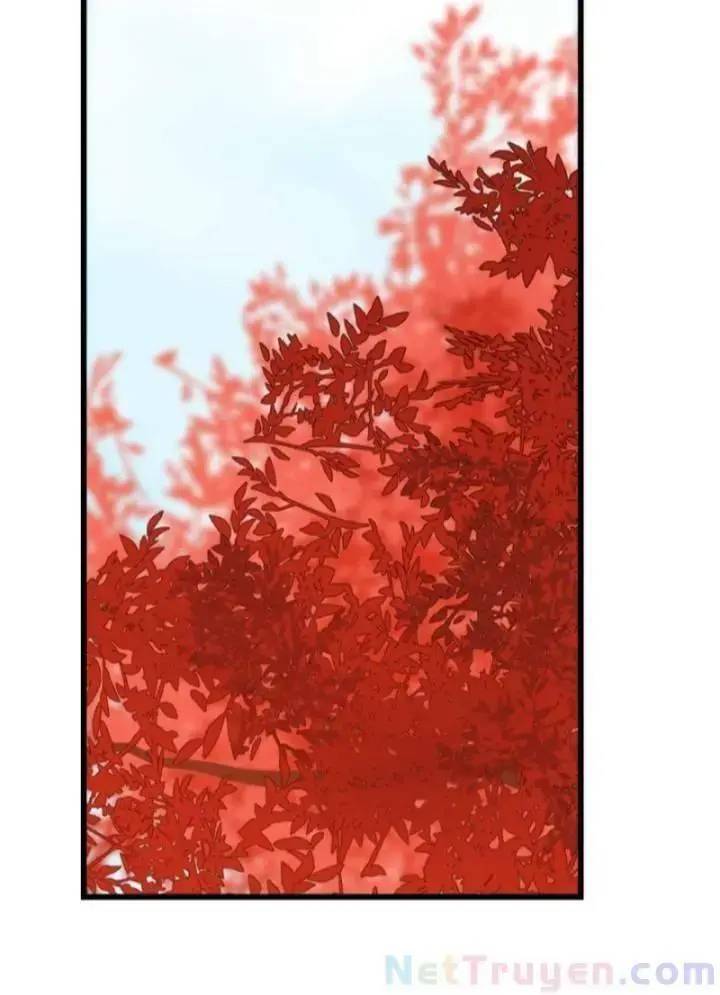 Độc Bộ Thiên Hạ Đặc Công Thần Y Tiểu Thú Phi - Chap 133