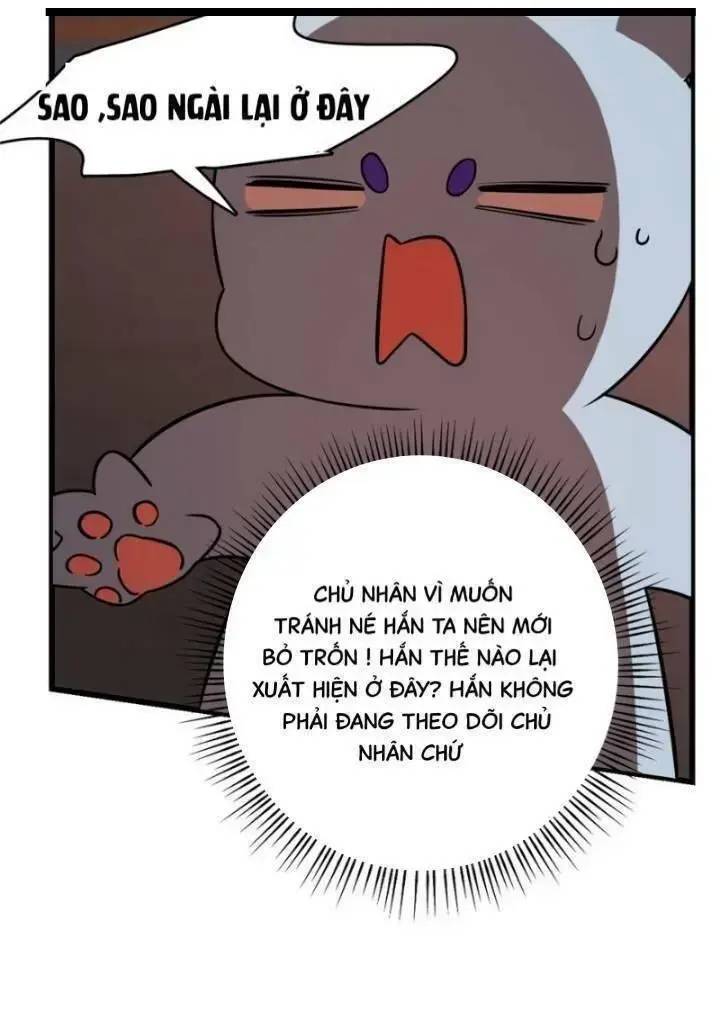 Độc Bộ Thiên Hạ Đặc Công Thần Y Tiểu Thú Phi - Chap 155