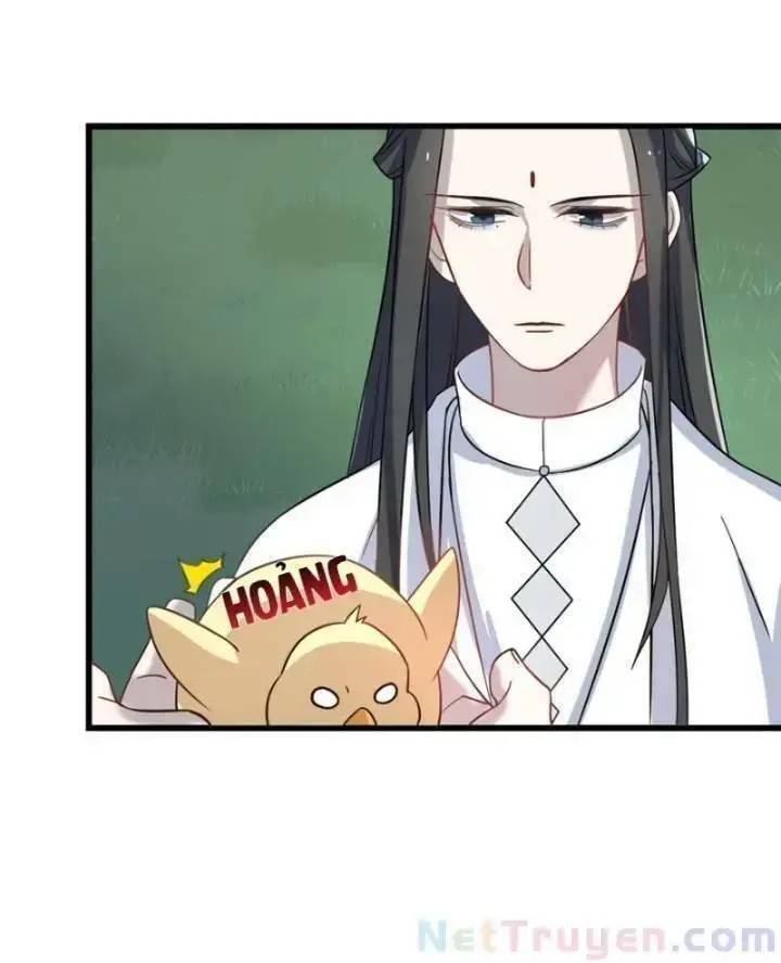 Độc Bộ Thiên Hạ Đặc Công Thần Y Tiểu Thú Phi - Chap 162