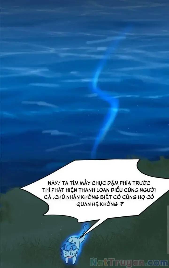 Độc Bộ Thiên Hạ Đặc Công Thần Y Tiểu Thú Phi - Chap 162