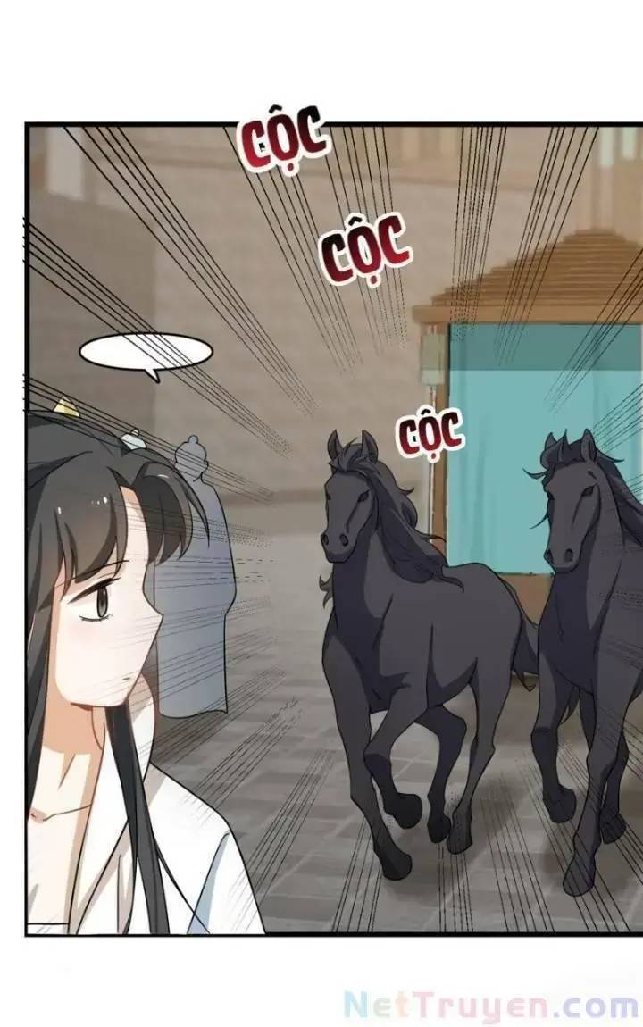 Độc Bộ Thiên Hạ Đặc Công Thần Y Tiểu Thú Phi - Chap 163