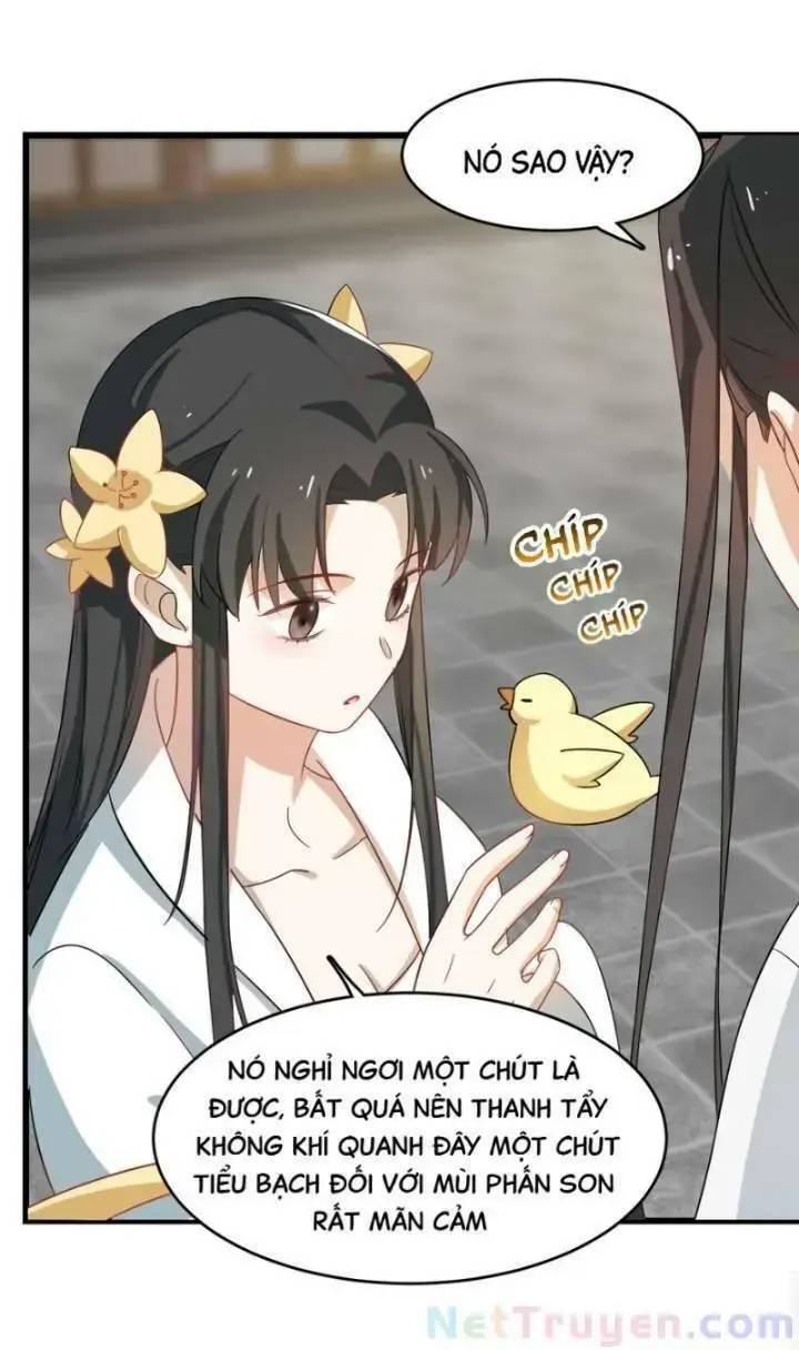 Độc Bộ Thiên Hạ Đặc Công Thần Y Tiểu Thú Phi - Chap 163