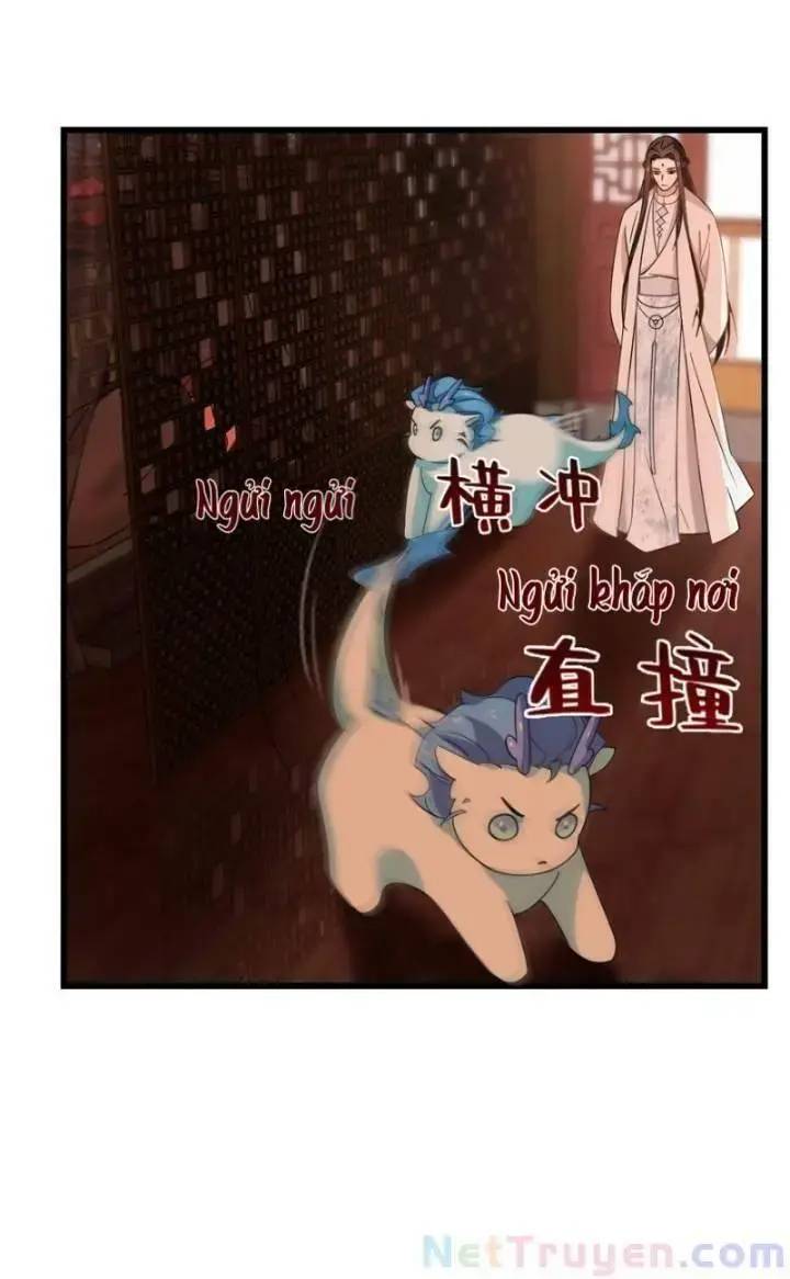 Độc Bộ Thiên Hạ Đặc Công Thần Y Tiểu Thú Phi - Chap 163