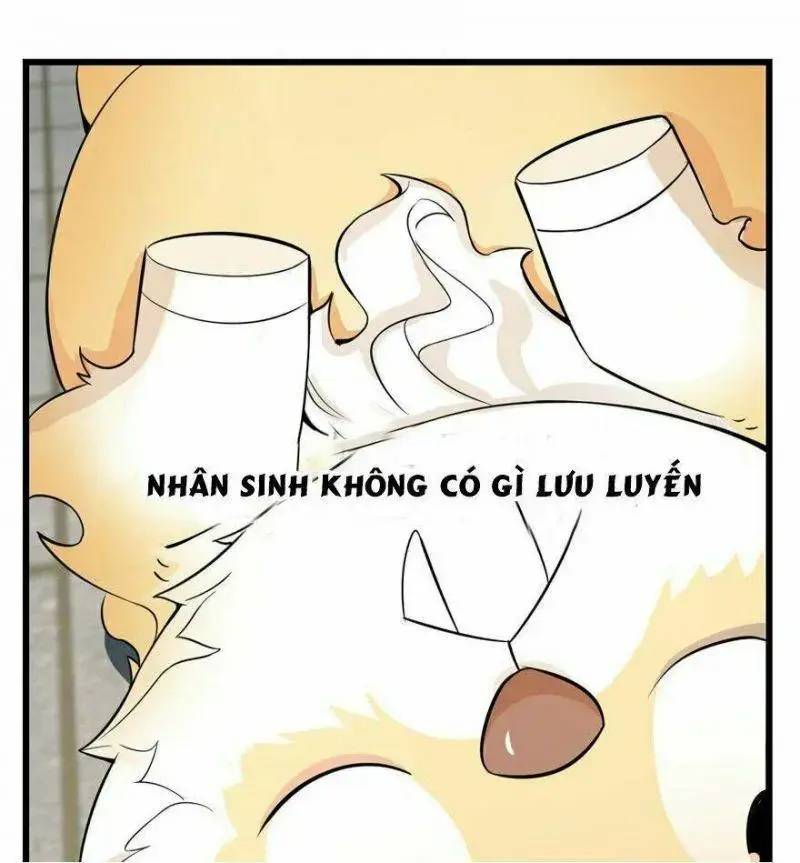 Độc Bộ Thiên Hạ Đặc Công Thần Y Tiểu Thú Phi - Chap 22