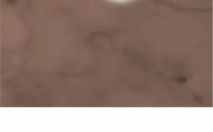 Độc Bộ Thiên Hạ Đặc Công Thần Y Tiểu Thú Phi - Chap 240