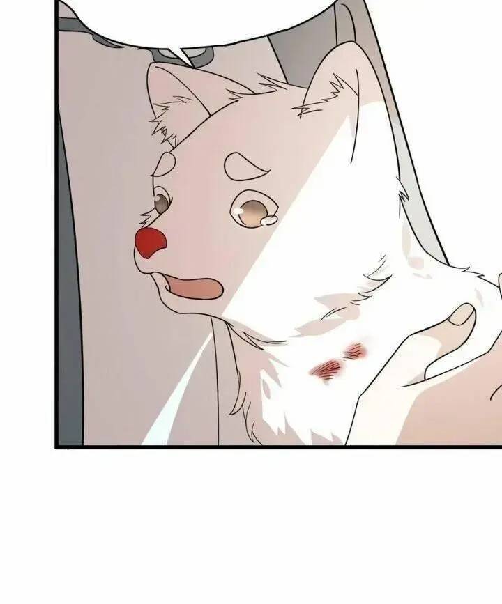 Độc Bộ Thiên Hạ Đặc Công Thần Y Tiểu Thú Phi - Chap 242